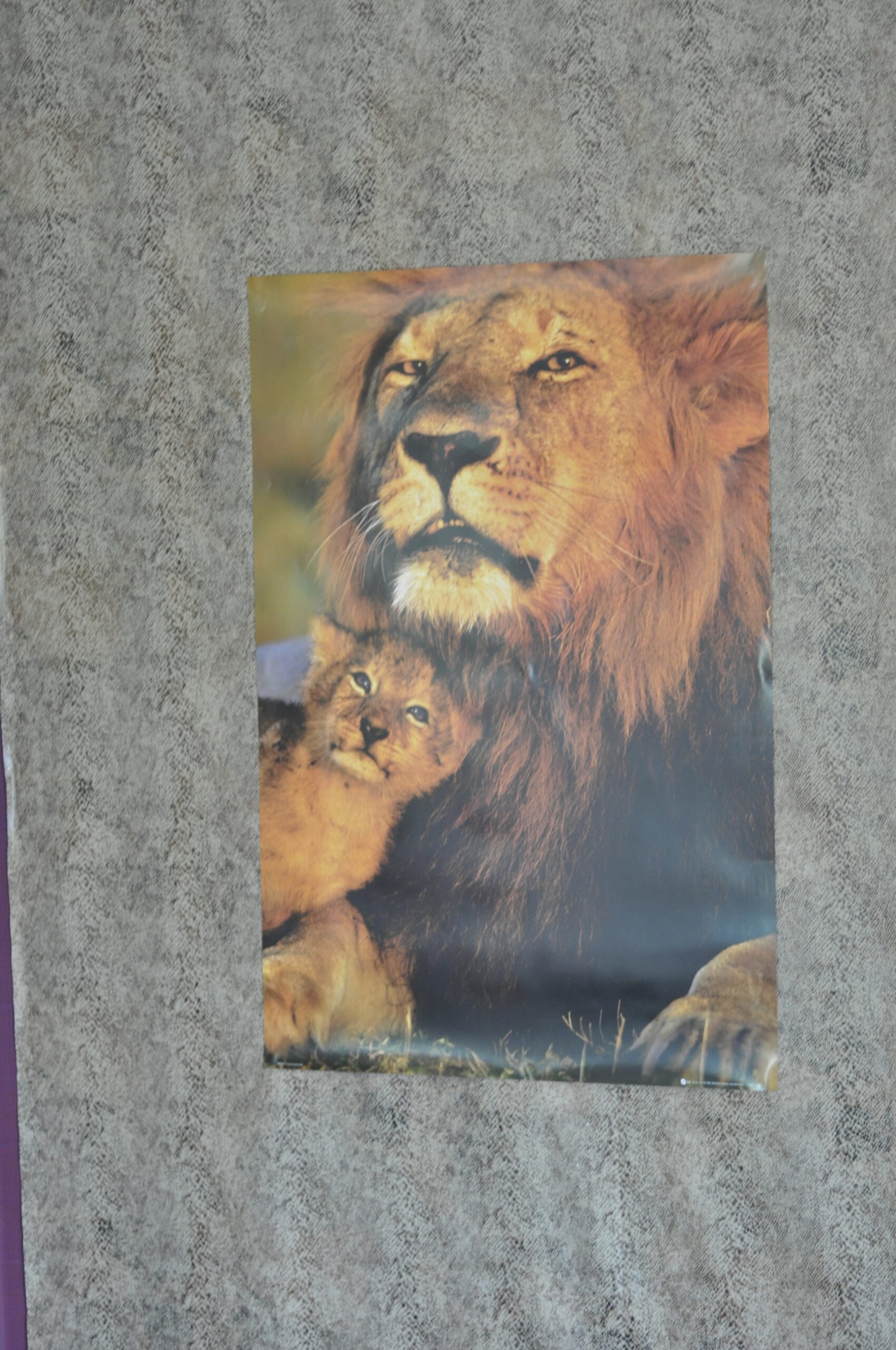 safari_DSC_1093